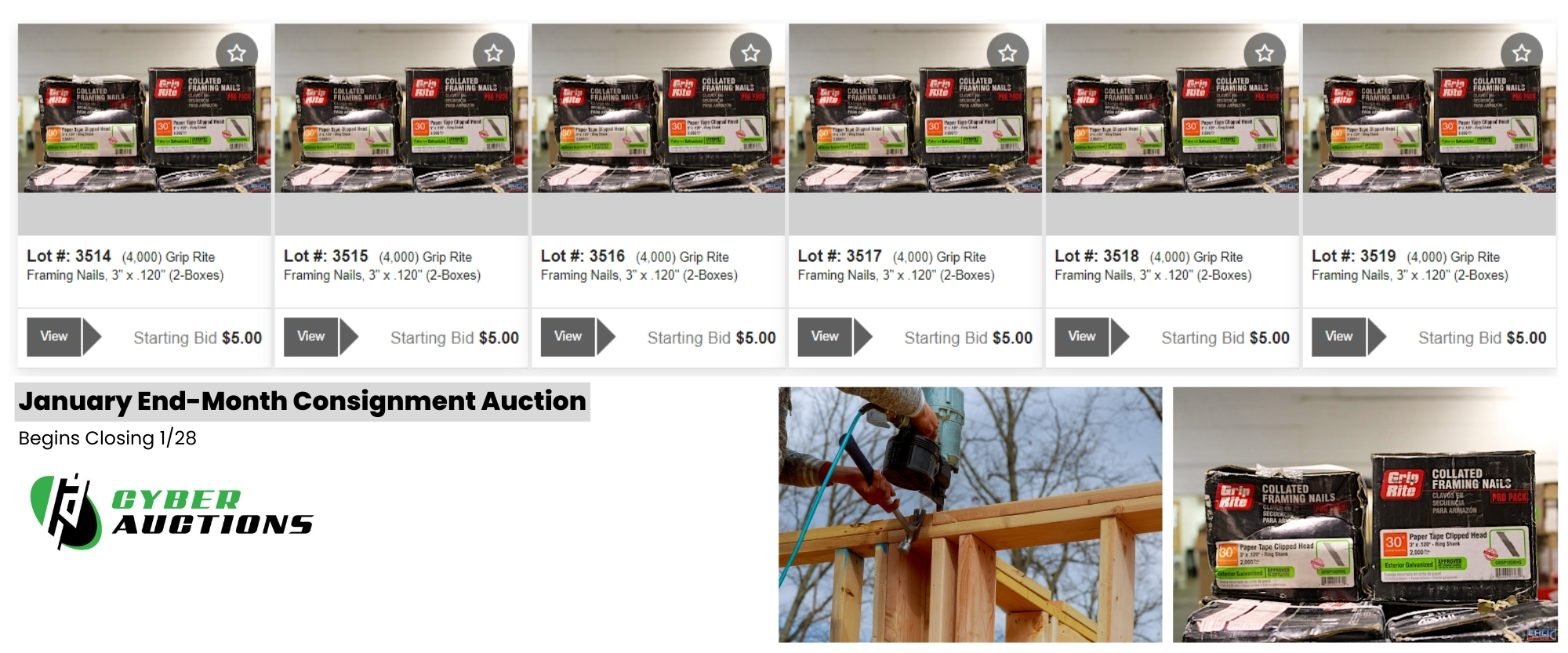 Copy of January End Month Consignment Auction (4)